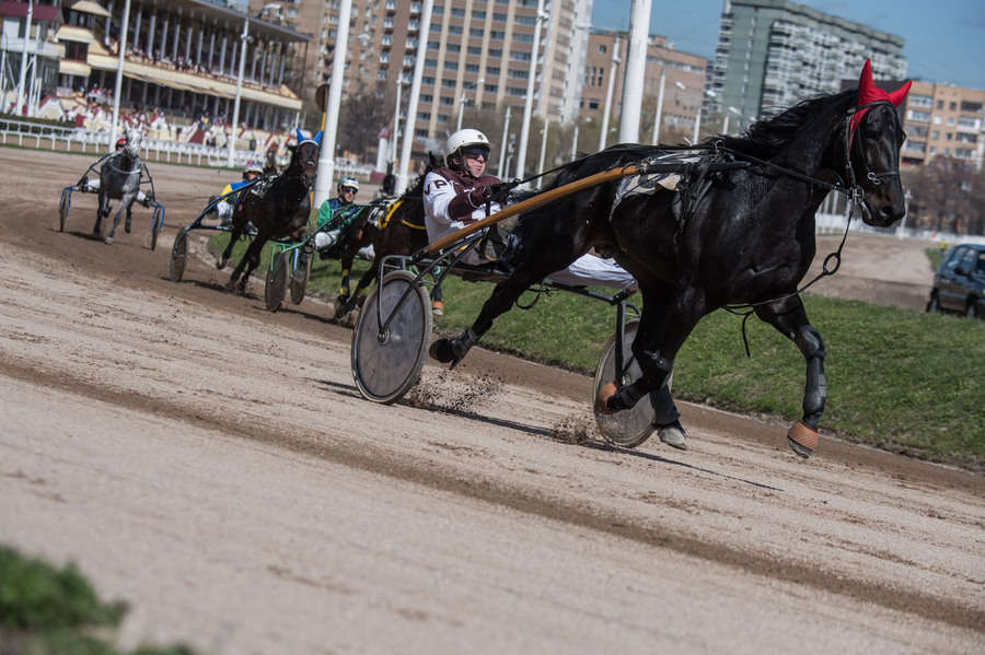 Объектив AF-s Nikkor 80-400 f/4.5-5.6 VR, 1/3200 c, f/6,3 ISO 500