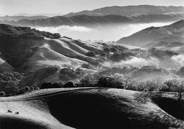 John Wimberley. Carmel Valley From Hall’s Ridge. 1993