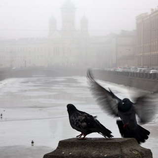 Туманный Петербург