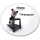 Напольные весы Supra BSS-5301