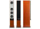 Напольная акустика System Audio SA explorer