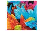 Напольные весы Scarlett SC-BS33E001 Flowers