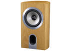 Тыловая акустика Tannoy Revolution Signature DC6