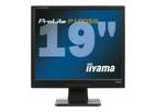 Монитор Iiyama PROLITE P1705S-1