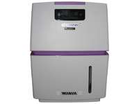 Бело-фиолетовый