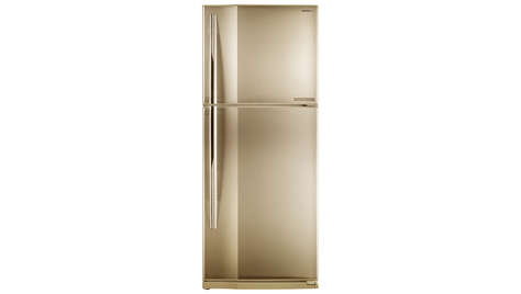 Холодильник Toshiba GR-R49TR SC
