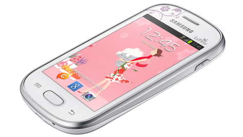 Смартфон Samsung GALAXY Fame Lite LaFleur 2014 GT-S6790