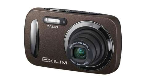 Компактный фотоаппарат Casio Exilim EX-N20 Brown