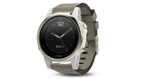 Спортивные часы Garmin Fenix 5S Sapphire Gray