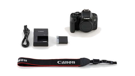 Зеркальная камера Canon EOS 800D Body