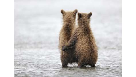 Журнал Потребитель Фото&amp;Техника №08.11