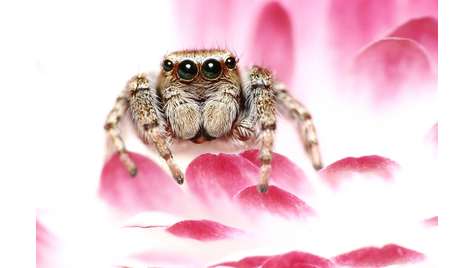 Журнал Потребитель Фото&amp;Техника №02.11