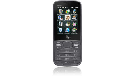 Мобильный телефон Fly TS110 grey