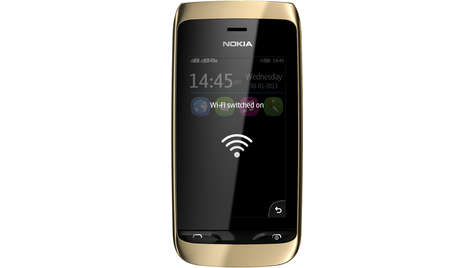 Мобильный телефон Nokia ASHA 310