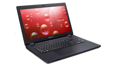 Ноутбук Packard Bell EasyNote LG71BM -P75M