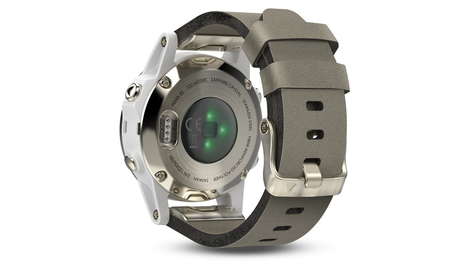 Спортивные часы Garmin Fenix 5S Sapphire Gray