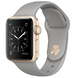 Умные часы Apple Watch Series 1, 38 мм серый камень/золотистый