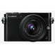 Беззеркальный фотоаппарат Panasonic LUMIX DMC-GM5 Kit Black